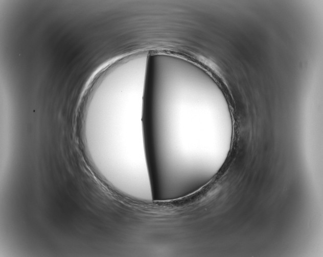 X0000086230979200703290940