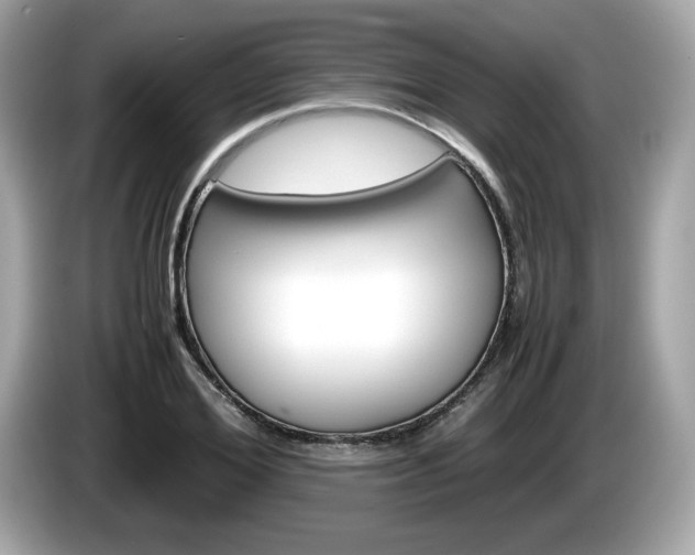 X0000086230980200703290940