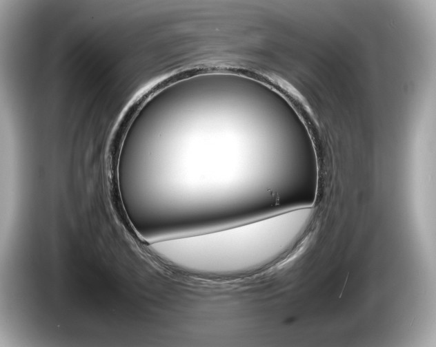 X0000086230981200703290940
