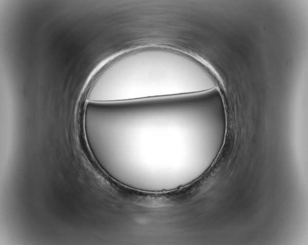 X0000086230983200703290940