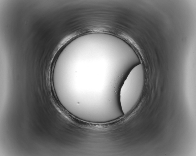 X0000086230986200703290940