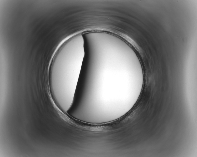 X0000086230988200703290940