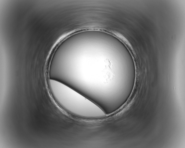 X0000086230989200703290940