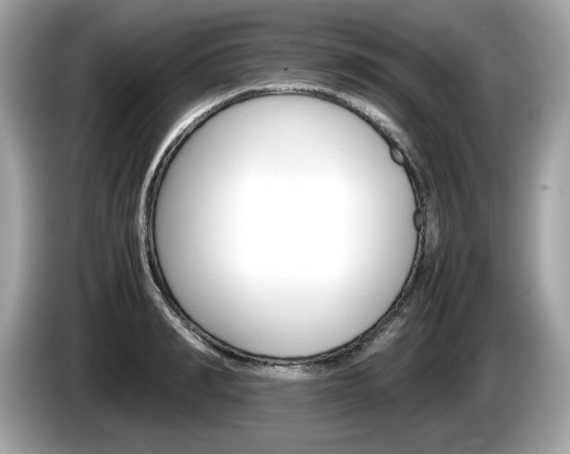 X0000086230990200703290940