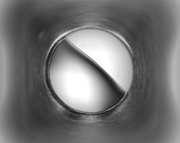 X0000086230991200703290940