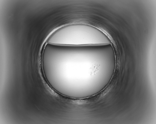 X0000086230992200703290940
