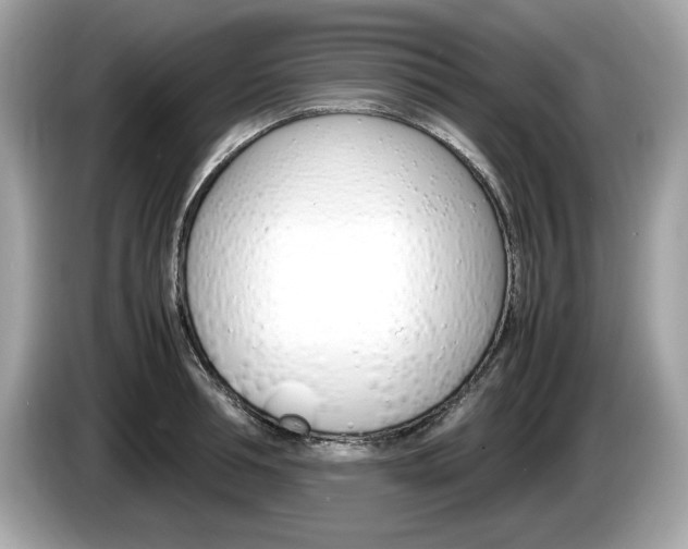 X0000086230994200703290940