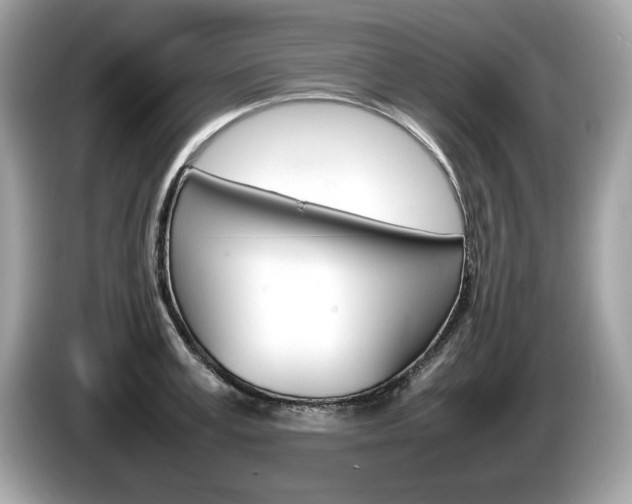 X0000086230995200703290940