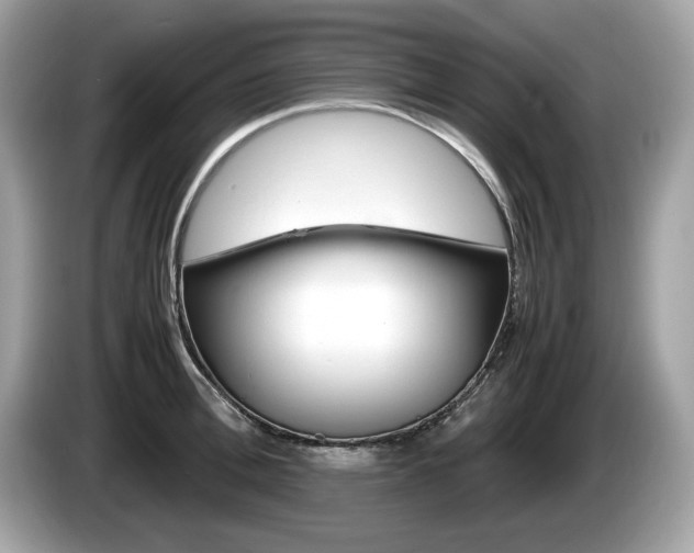 X0000086230996200703290939