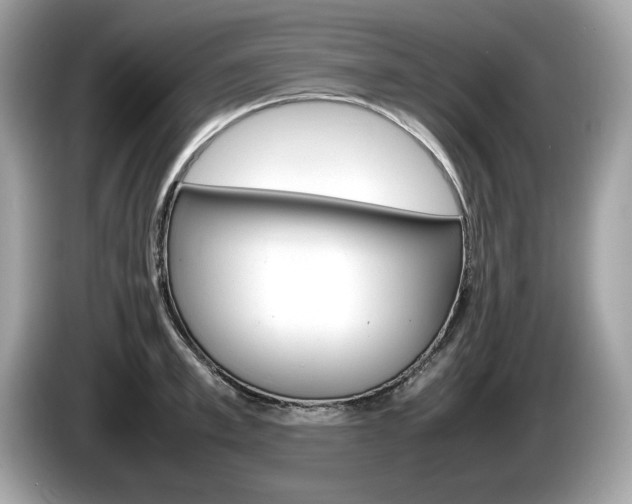 X0000086230997200703290939