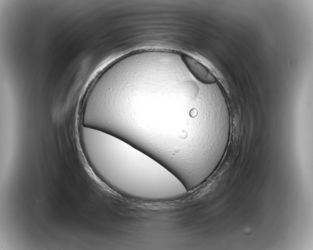 X0000086230998200703290939
