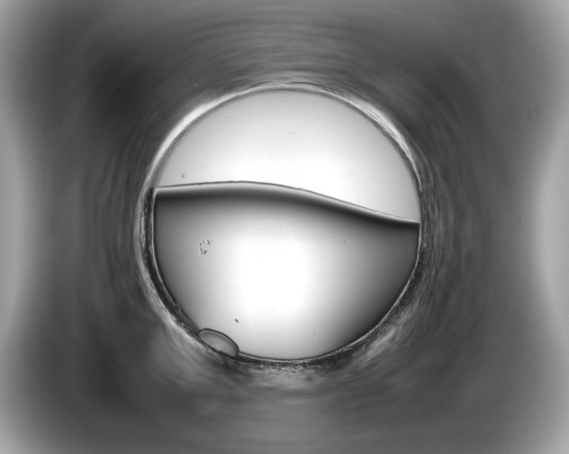 X0000086230999200703290939