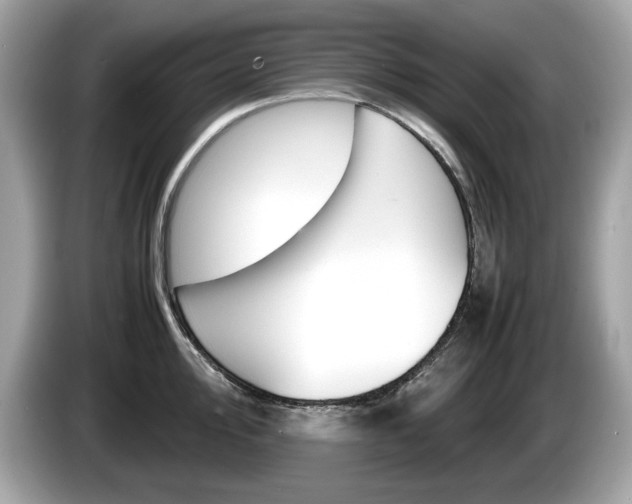 X0000086231000200703290939