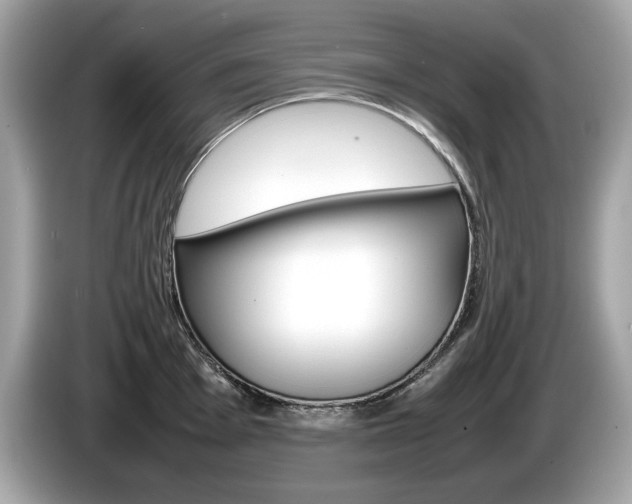 X0000086231001200703290939