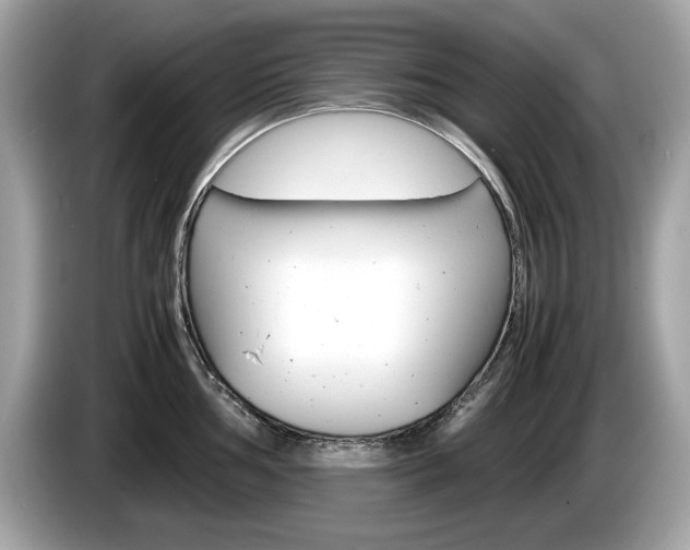 X0000086231002200703290939