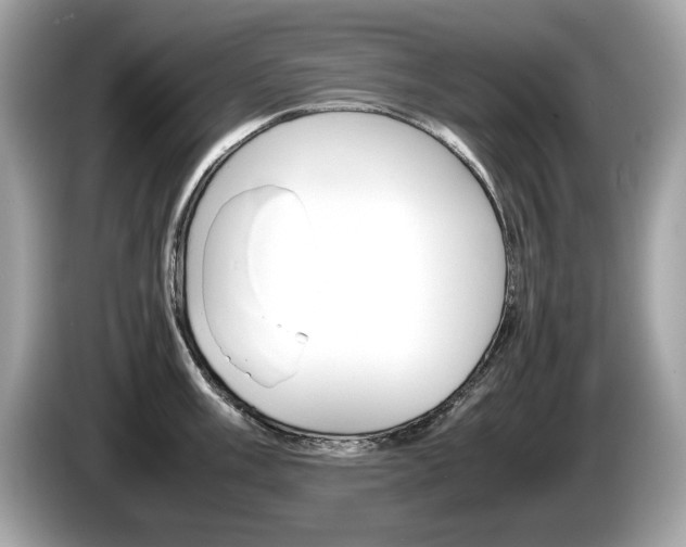 X0000086231003200703290939