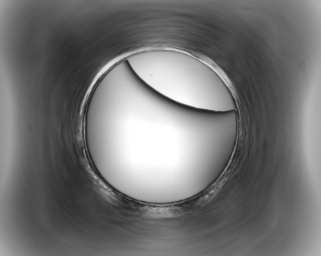 X0000086231004200703290939