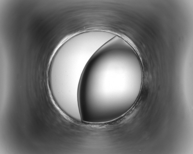X0000086231005200703290939