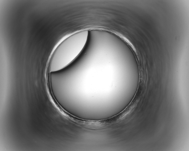 X0000086231007200703290939