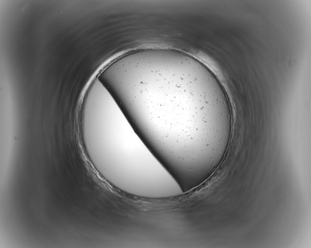 X0000086231008200703290939