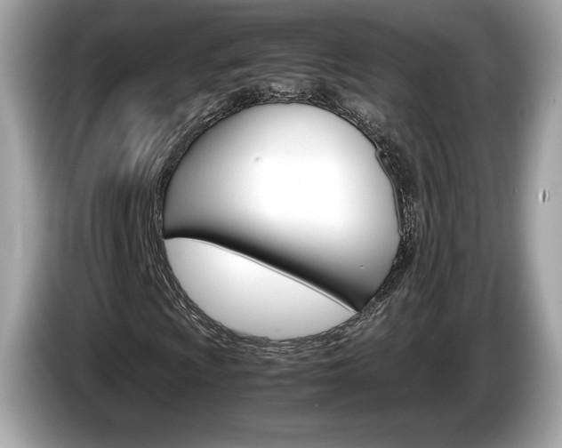 X0000086231009200703290939
