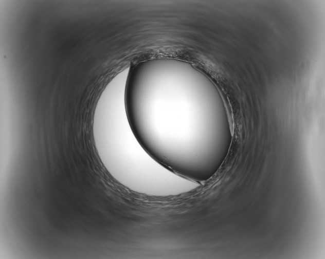 X0000086231010200703290939