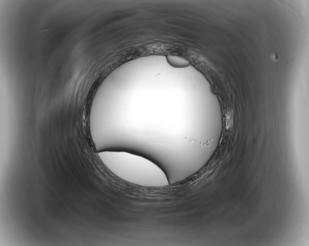 X0000086231011200703290939