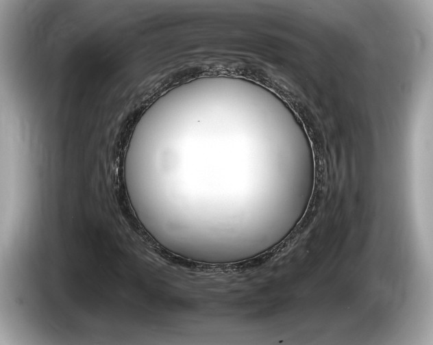 X0000086231013200703290939
