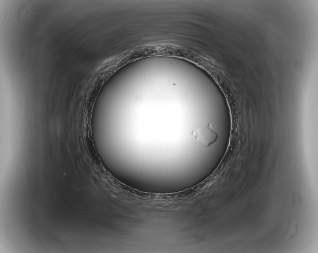 X0000086231014200703290939
