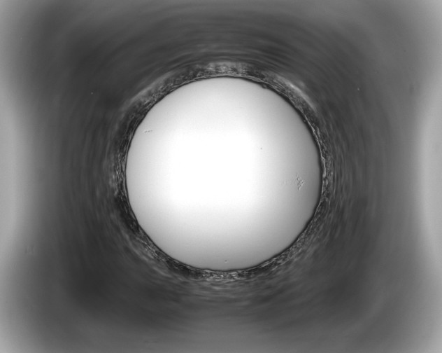 X0000086231015200703290939