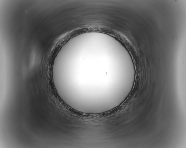 X0000086231016200703290939
