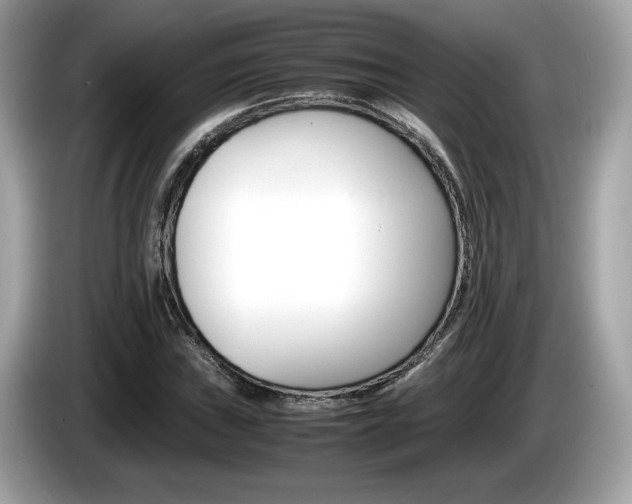 X0000086231019200703290939