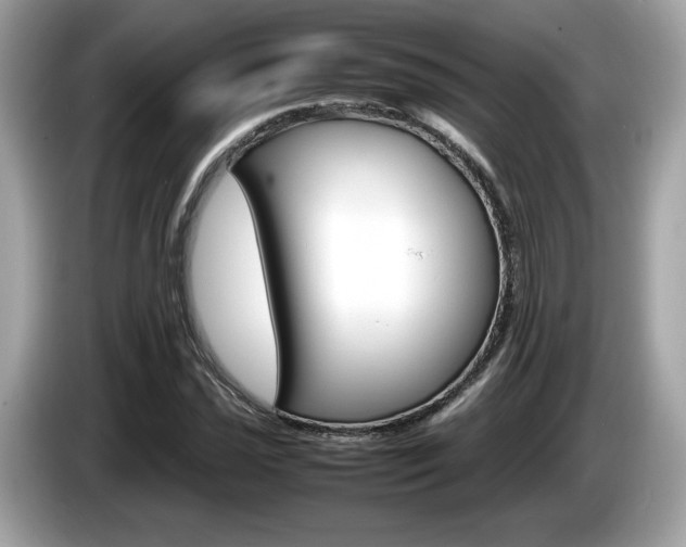 X0000086231021200703290939