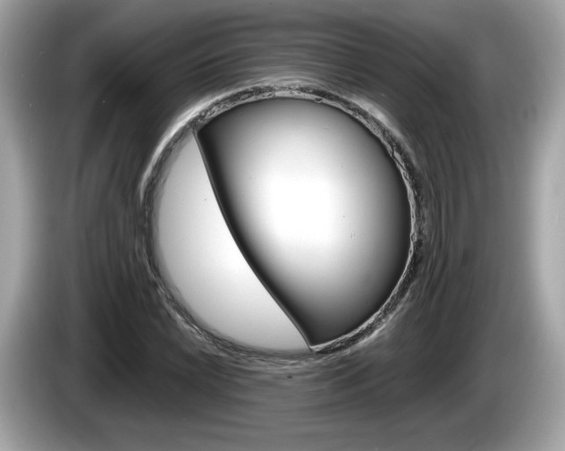 X0000086231022200703290939