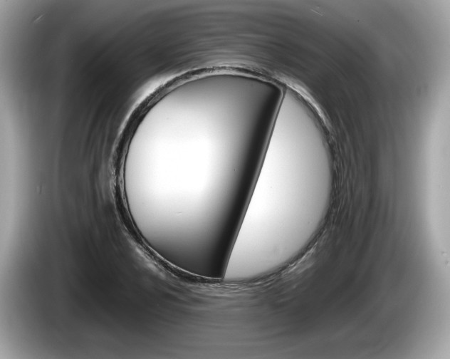 X0000086231024200703290939