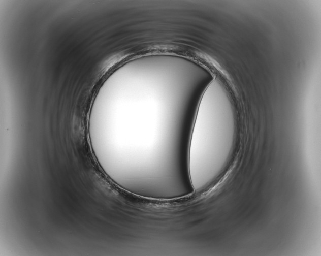 X0000086231025200703290939