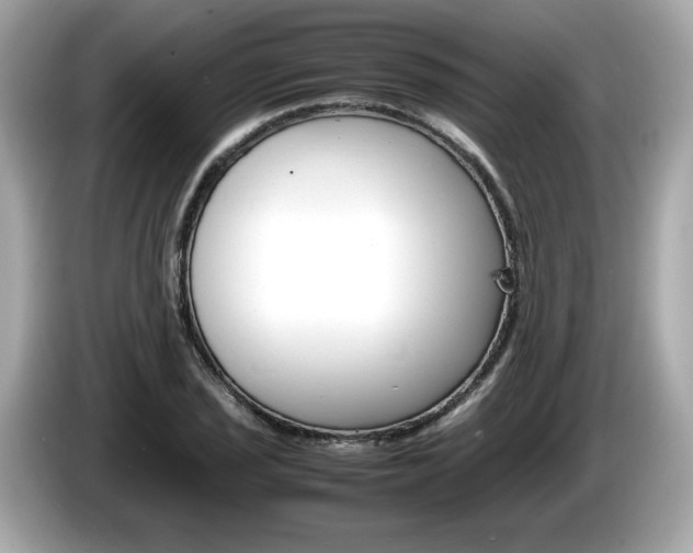 X0000086231029200703290939