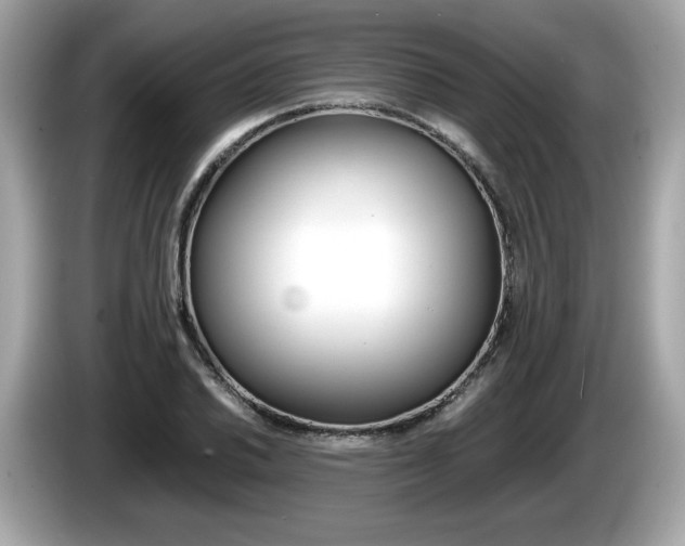 X0000086231030200703290939
