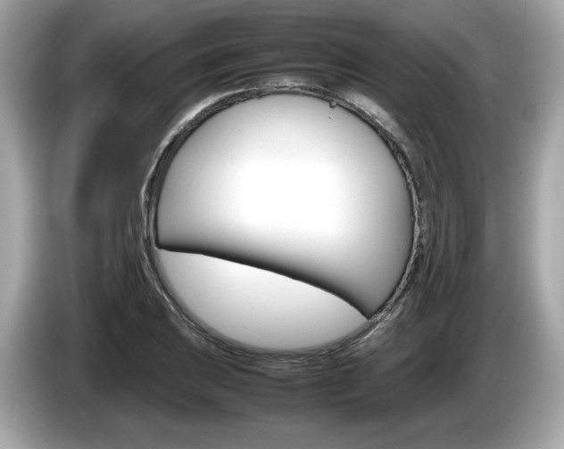 X0000086231031200703290939