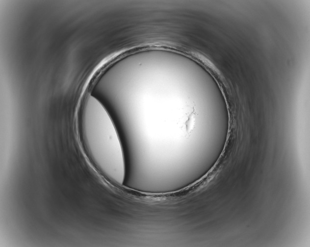 X0000086231032200703290939