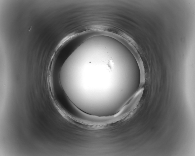 X0000086231034200703290939