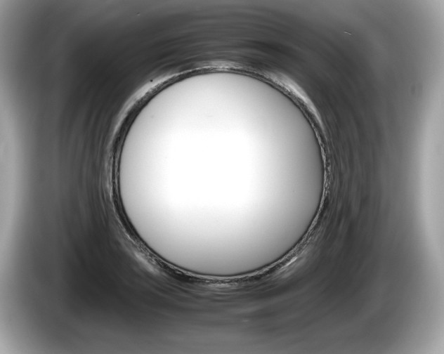 X0000086231035200703290939