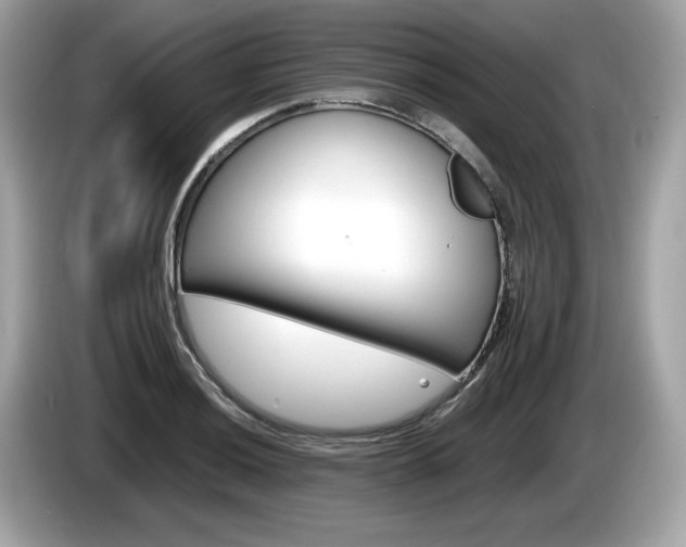 X0000086231036200703290939