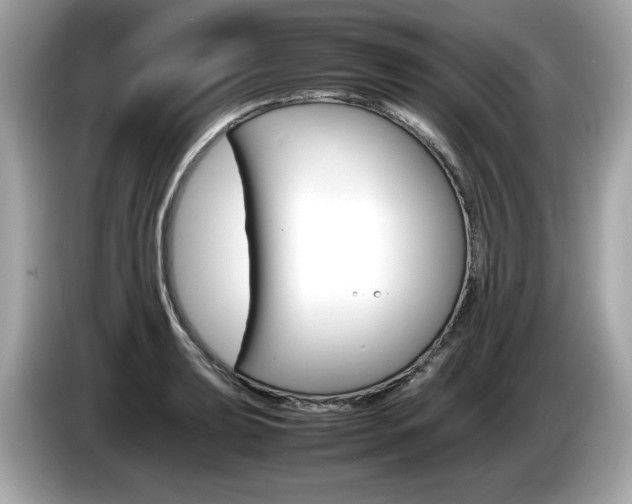 X0000086231039200703290939