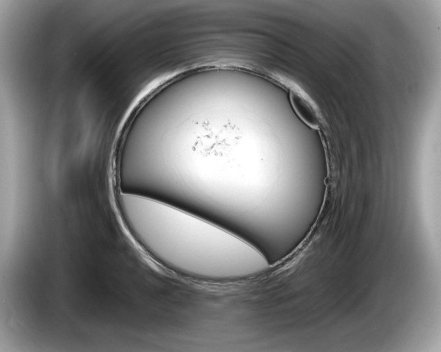 X0000086231040200703290939