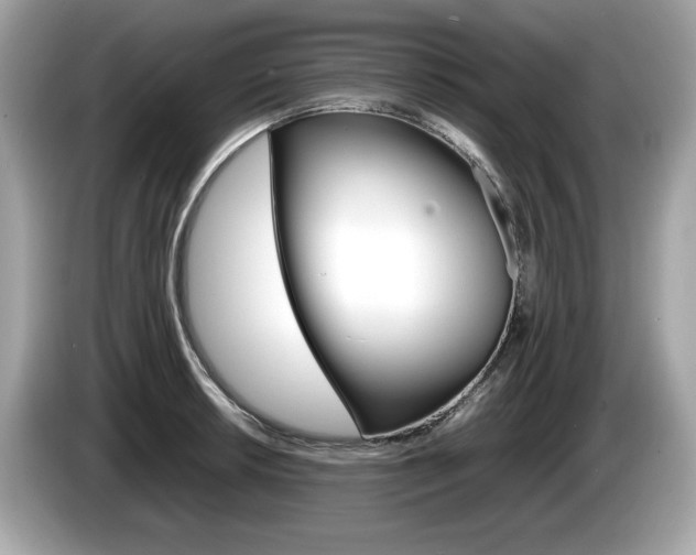 X0000086231042200703290939