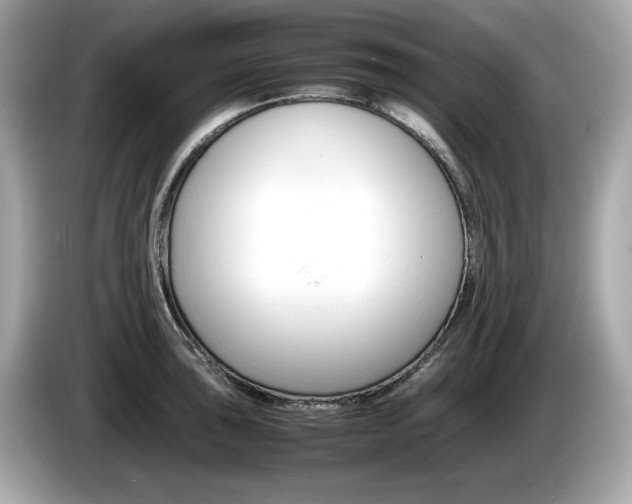 X0000086231043200703290939