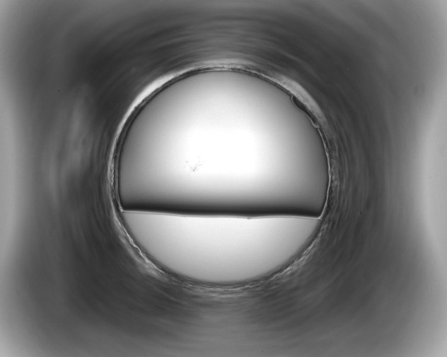 X0000086231044200703290939