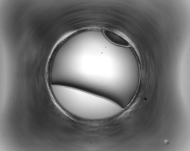 X0000086231045200703290939