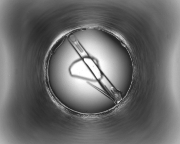 X0000086231046200703290939